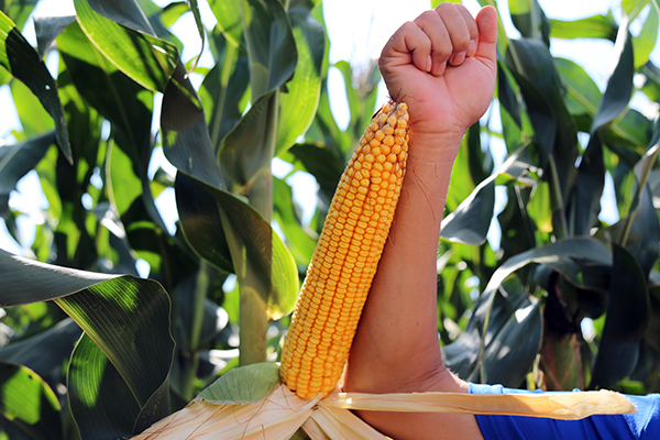 1536908991128277.jpg 7.JPG