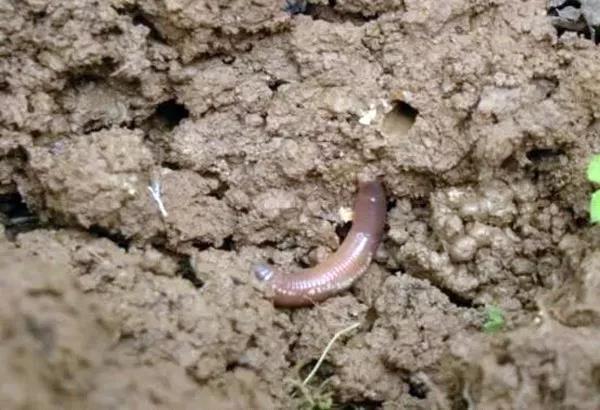 1544774855.jpg 微(wēi)信圖片_20181214160725.jpg