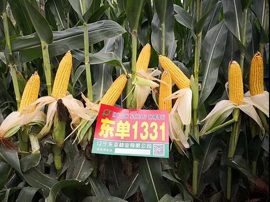 1553584316.jpg 微(wēi)信圖片_20190326151025.jpg