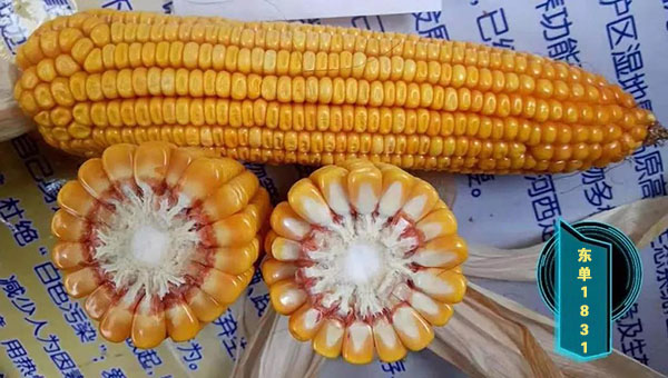 1553584824.jpg 微(wēi)信圖片_20190326151256.jpg