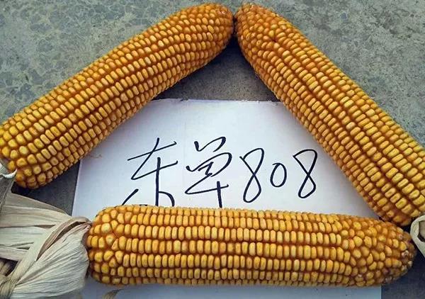 1553584851.jpg 微(wēi)信圖片_20190326151121.jpg