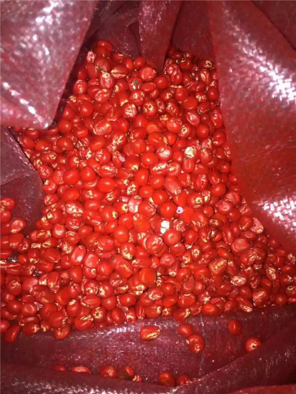 1586660407.jpg 微(wēi)信圖片_20200412105917.jpg