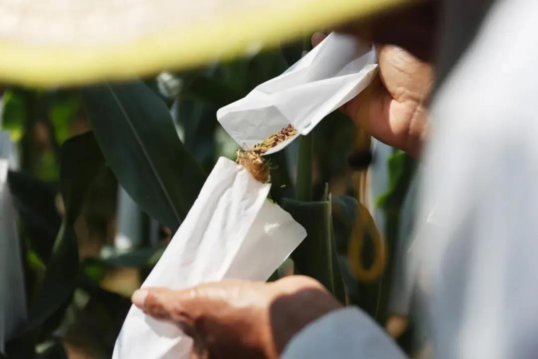 1640910787.jpg 1640910787.jpg