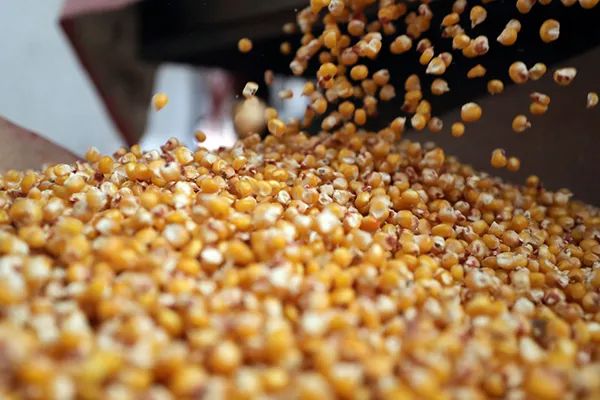 1650257745.jpg 640.jpg