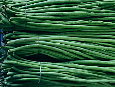 富友(yǒu)綠(lǜ)箭王