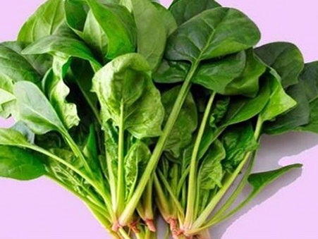 富友(yǒu)勝美(měi)