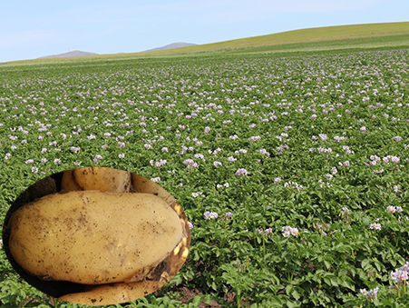 費(fèi)烏瑞它（803）