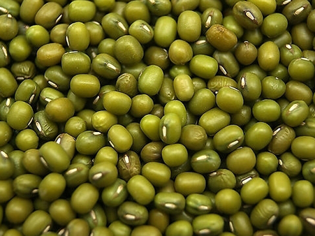 富友(yǒu)豐綠(lǜ)1号